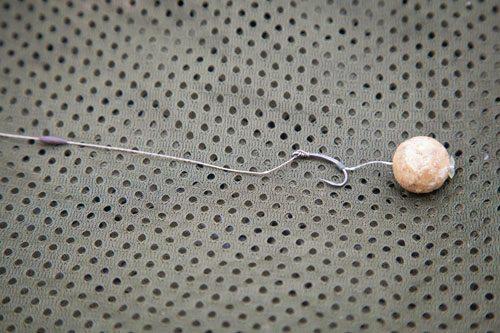 E-S-P - 168894101510500396247391820534673n.jpg